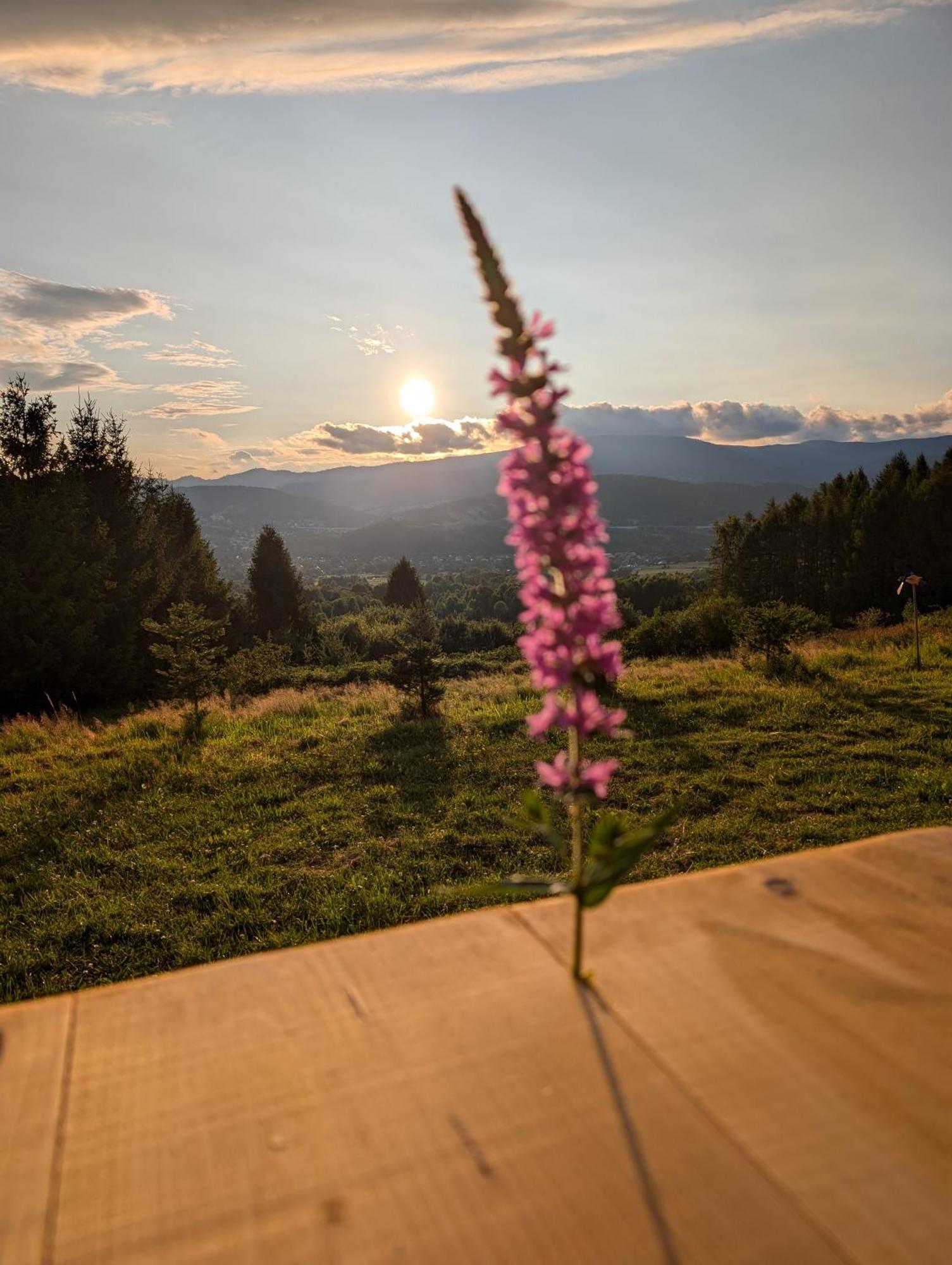 Villa Beskid Мілювка Екстер'єр фото